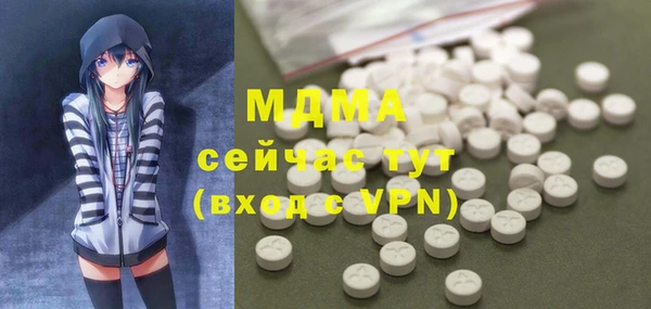 индика Дмитриев