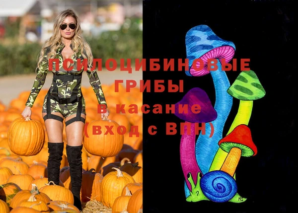 меф Гусиноозёрск