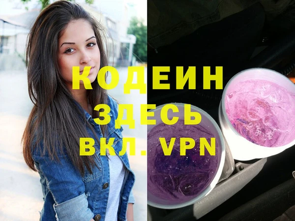 индика Дмитриев