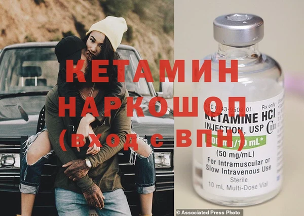 индика Дмитриев