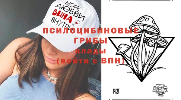 индика Дмитриев