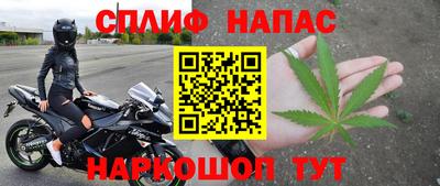 сатива Аргун