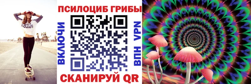 Псилоцибиновые грибы GOLDEN TEACHER  наркота  Назарово 