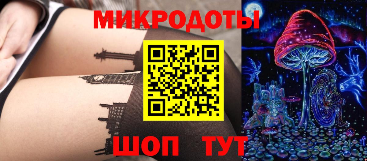 Галлюциногенные грибы Psilocybine cubensis Назарово