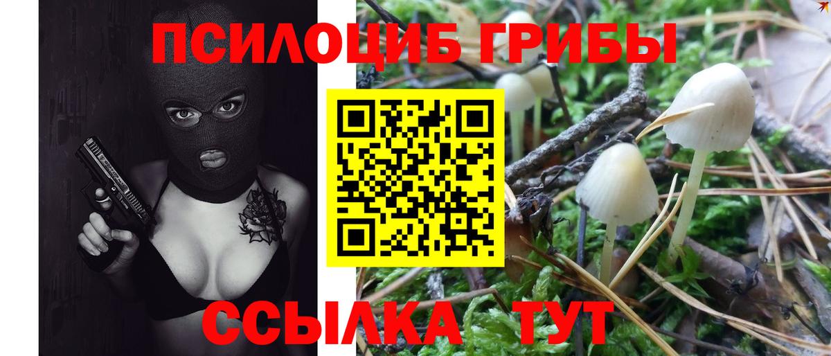 Галлюциногенные грибы Psilocybe  Вход с VPN  Назарово 