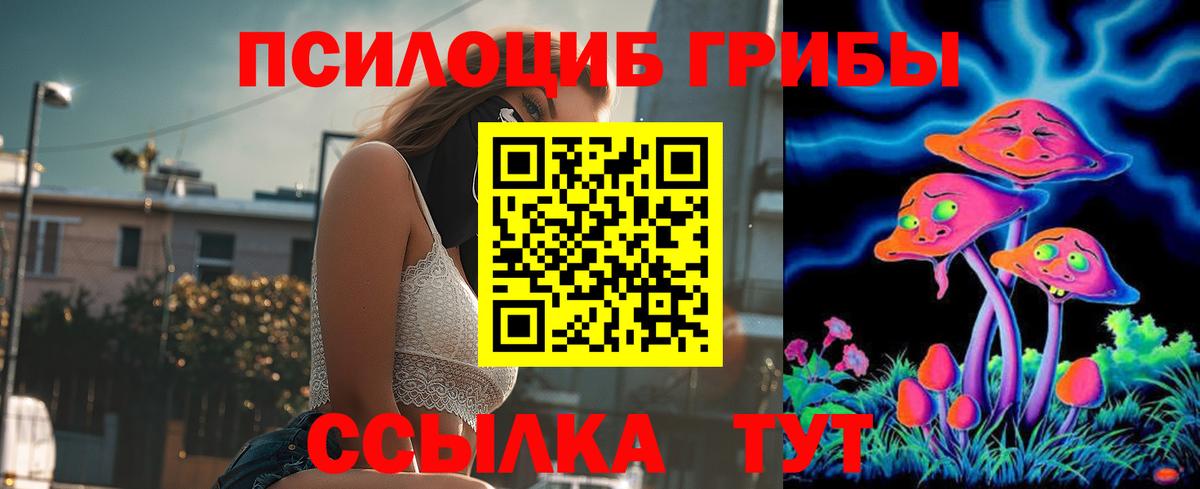 Псилоцибиновые грибы Psilocybe Назарово