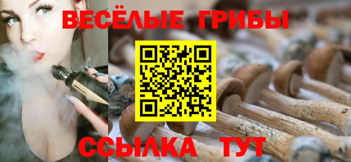 Галлюциногенные грибы Psilocybine cubensis  Назарово 